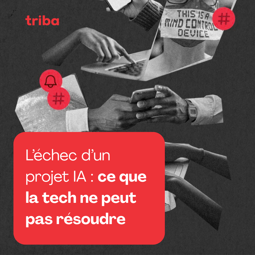 triba article blogue